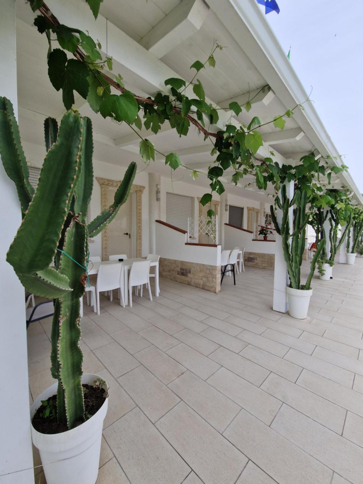 Santa Venere Apartments "Parcheggio Privato" Ricarica Auto Elettriche Тропея Экстерьер фото